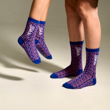 Mottumarssokkarnir 2026